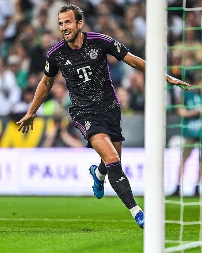 引发了广大 引发了广大