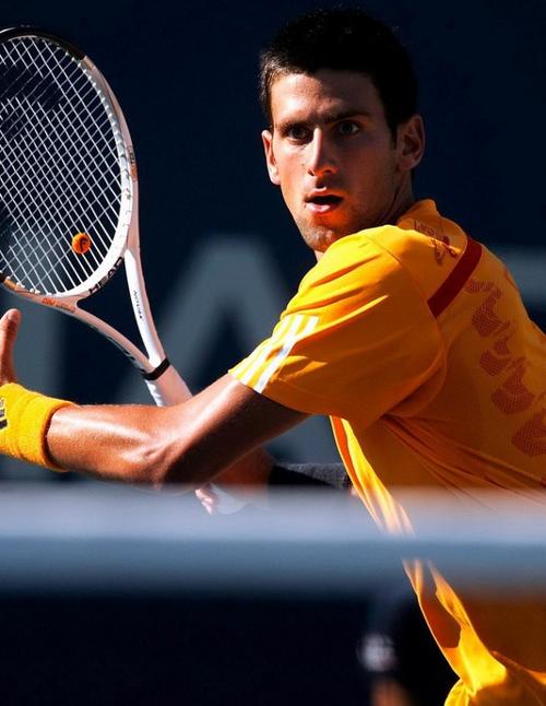 借由捕手暗 借由捕手暗